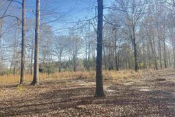 138 Riptide Road photo 4