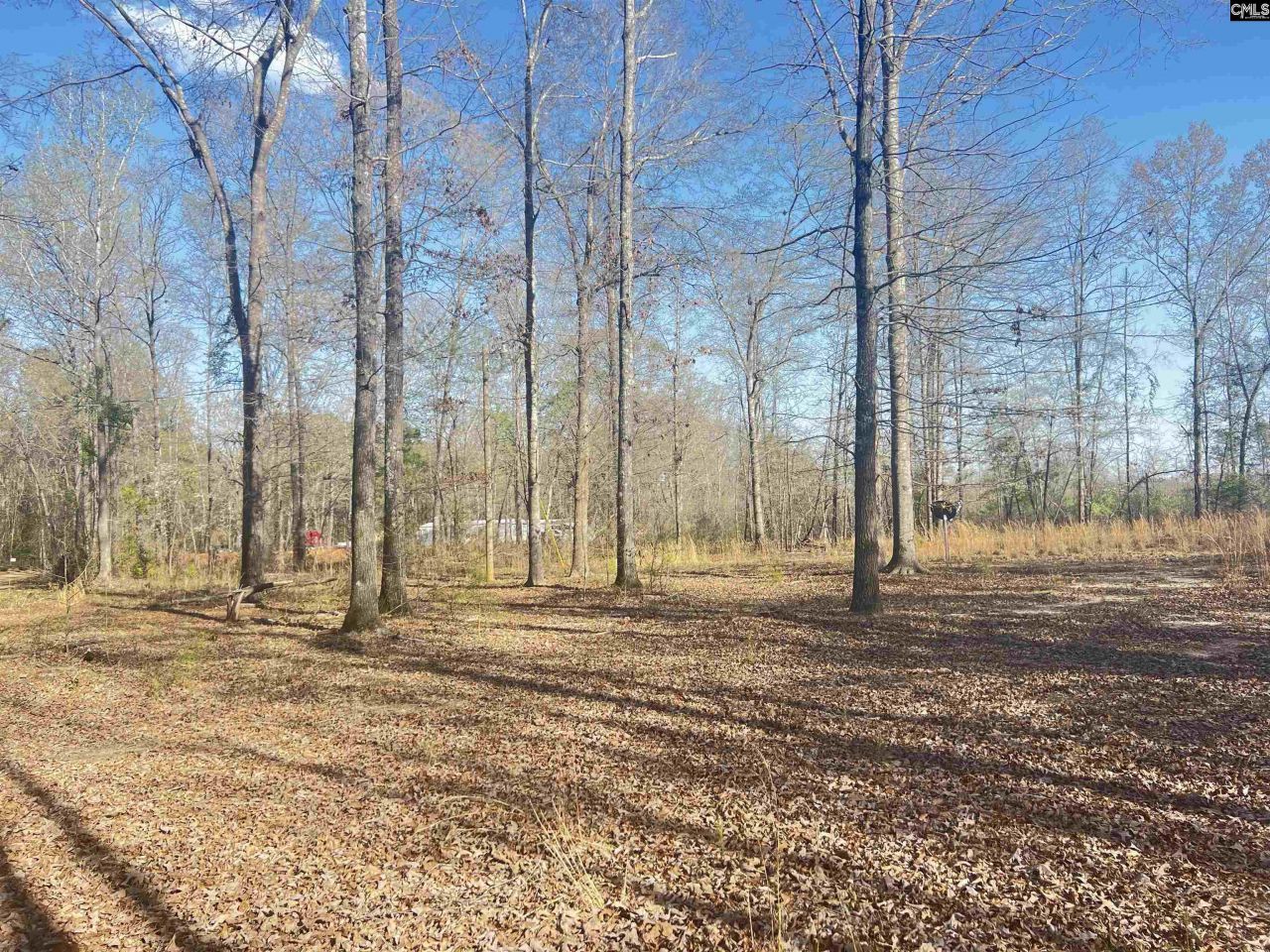 138 Riptide Road Photo 5