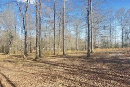 138 Riptide Road photo 4