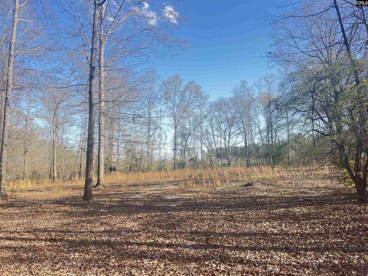 138 Riptide Road Photo 6