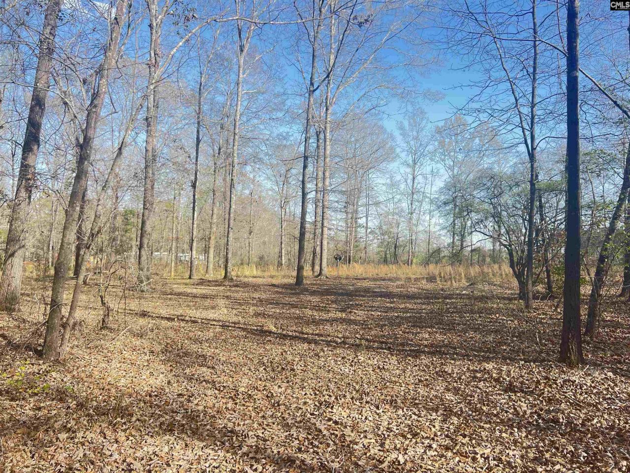 138 Riptide Road Photo 8