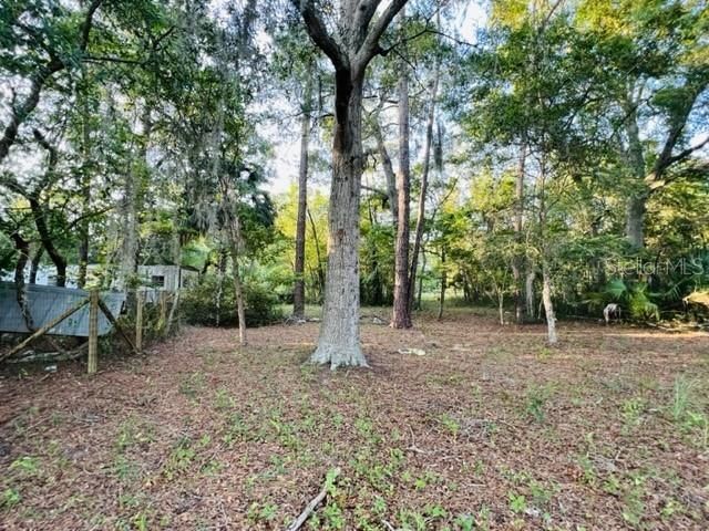 1010 S Main Street, Bell, FL 32619 Photo