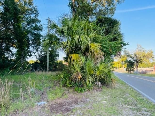 1010 S Main Street, Bell, FL 32619 Photo