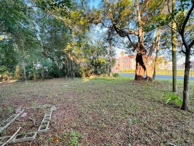 1010 S Main Street, Bell, FL 32619 Photo