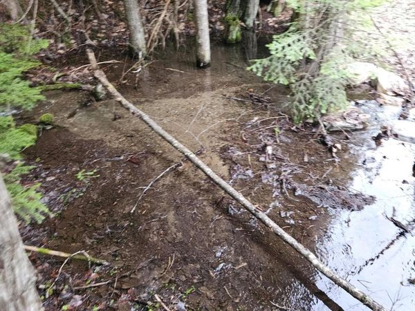 940 Sled Run Trl, Clark Fork, ID 83811