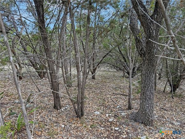 1081 Dog Leg Lane, Spring Branch, TX 78070