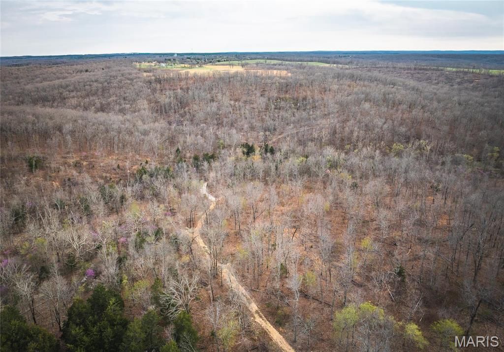 0 Ray Hicks Road, Viburnum, MO 65566 Main Photo