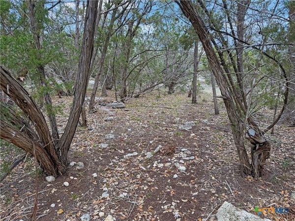 1084 Dog Leg Lane, Spring Branch, TX 78070