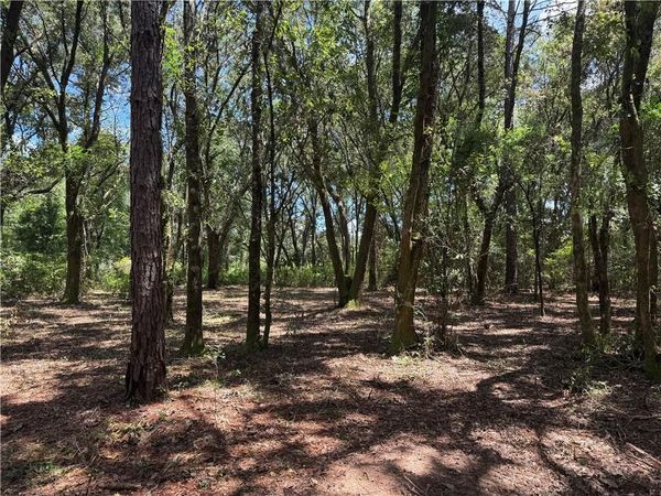 0 Lundy Road, Theodore, AL 36582