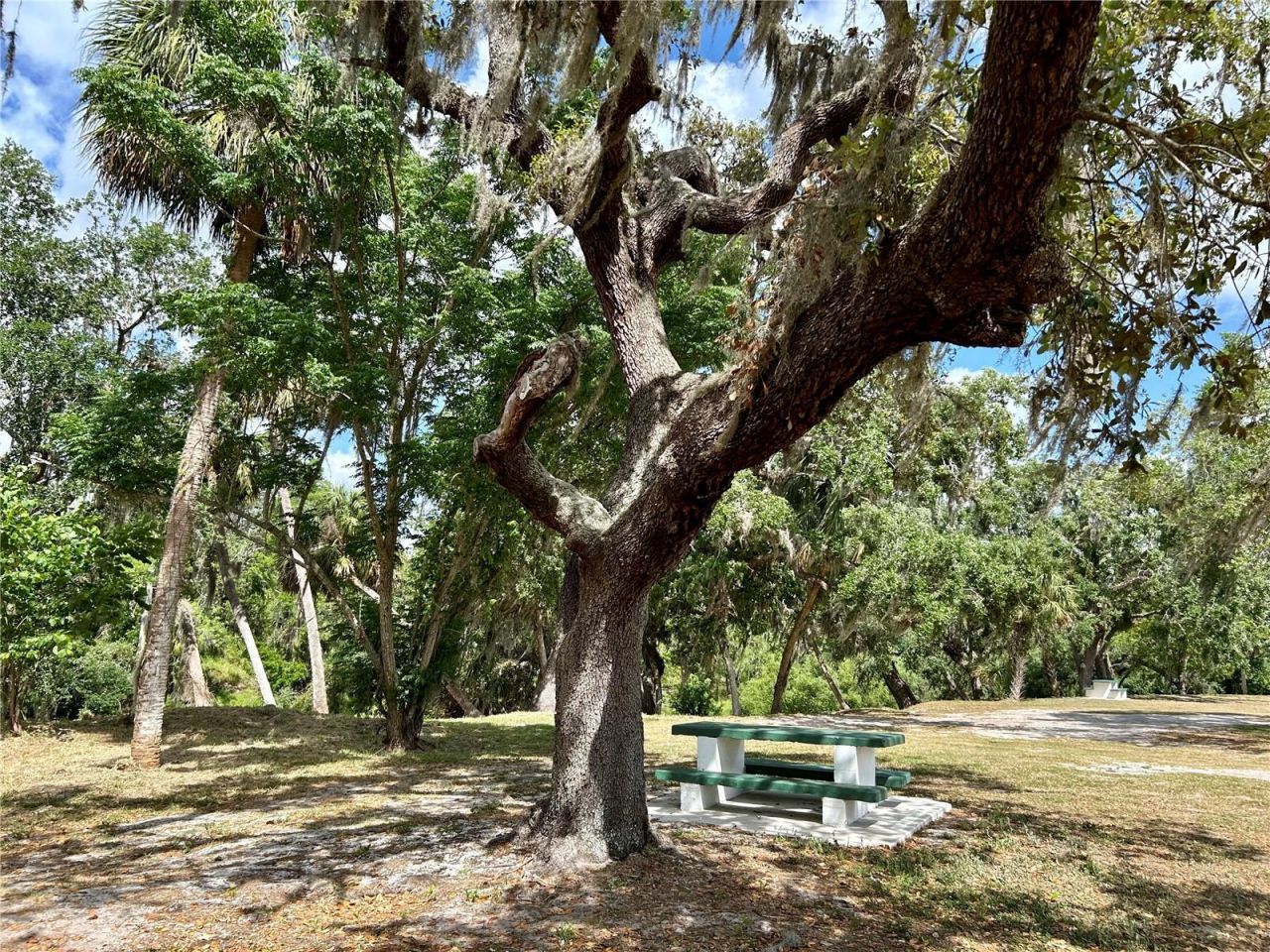 3456 Elm Street, Zolfo Springs, FL 33890 Photo