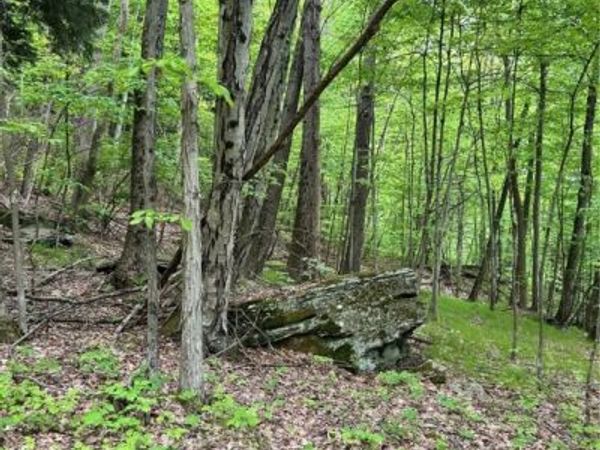 512 County Road 18, Mount Upton, NY 13809