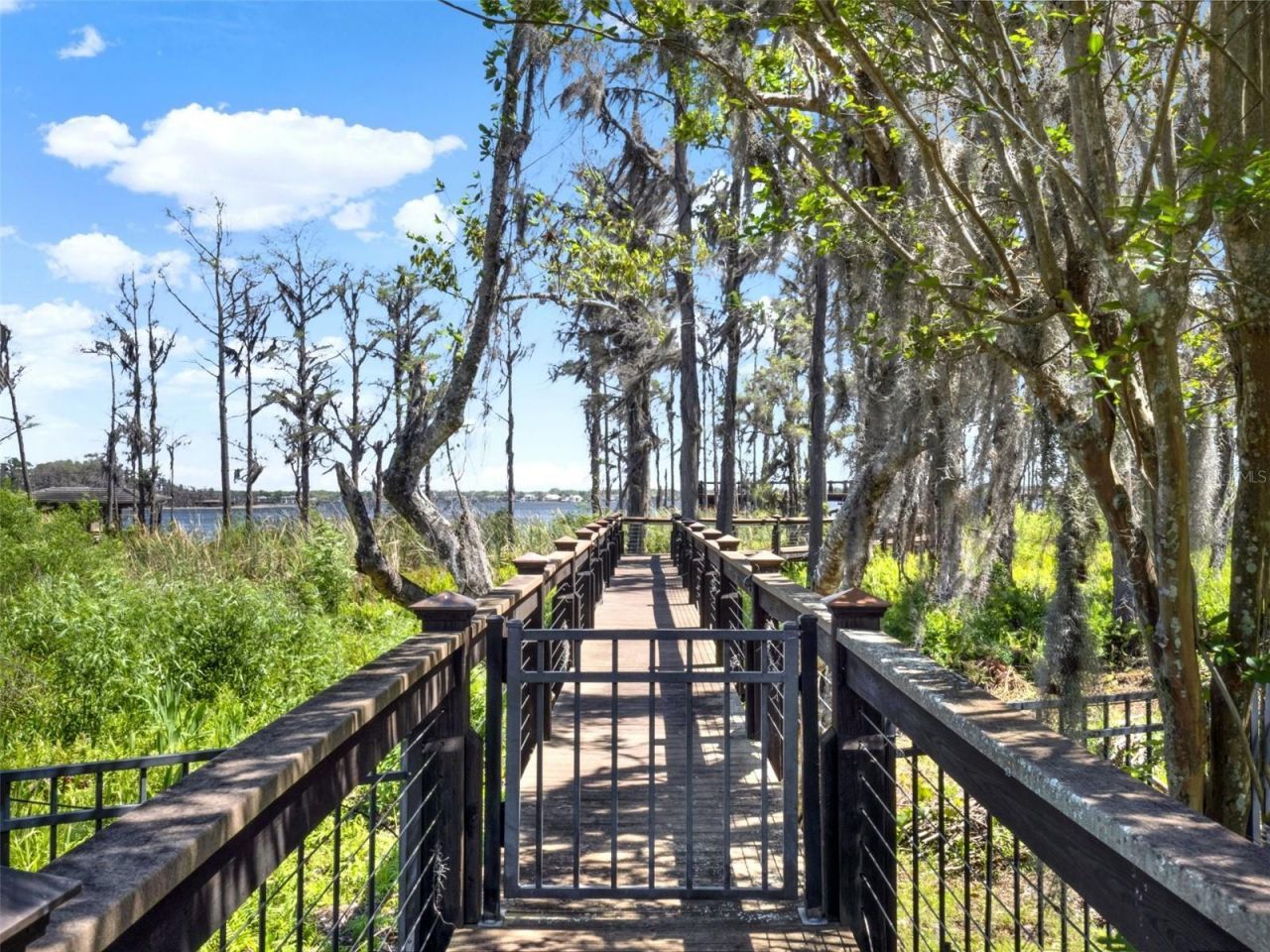 6137 Grosvenor Shore Drive, Windermere, FL 34786 Photo