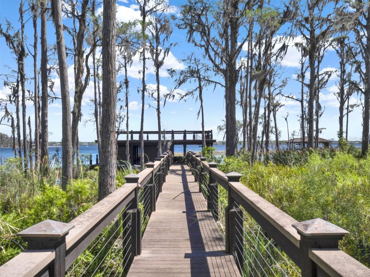 6137 Grosvenor Shore Drive, Windermere, FL 34786 Photo