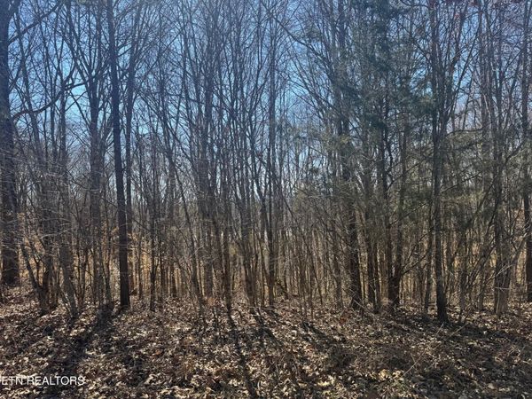 LOT 71 Saddle Ridge Drive, Speedwell, TN 37870