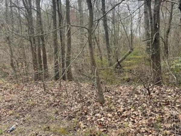 00 RIDGE, Mathews, VA 23035