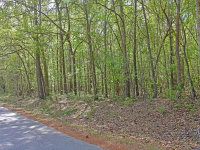 0 Ridgelake(Lots 8,9,10,11) Circle, Saint Matthews, SC 29135