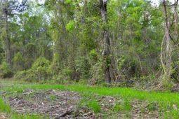 0 Ridgelake(lots 8,9,10,11) Circle photo 4