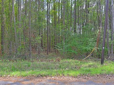 0 Ridgelake(Lot 29), Saint Matthews, SC 29135