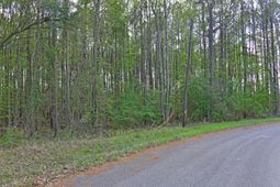 0 Ridgelake(lot 29) photo 4