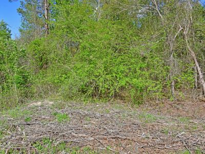 0 Ridgelake(Lot 12) Circle, Saint Matthews, SC 29135