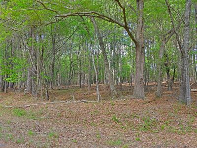 0 Ridgelake(15-A,15-B) Circle, Saint Matthews, SC 29135