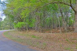 0 Ridgelake(15-a,15-b) Circle photo 4