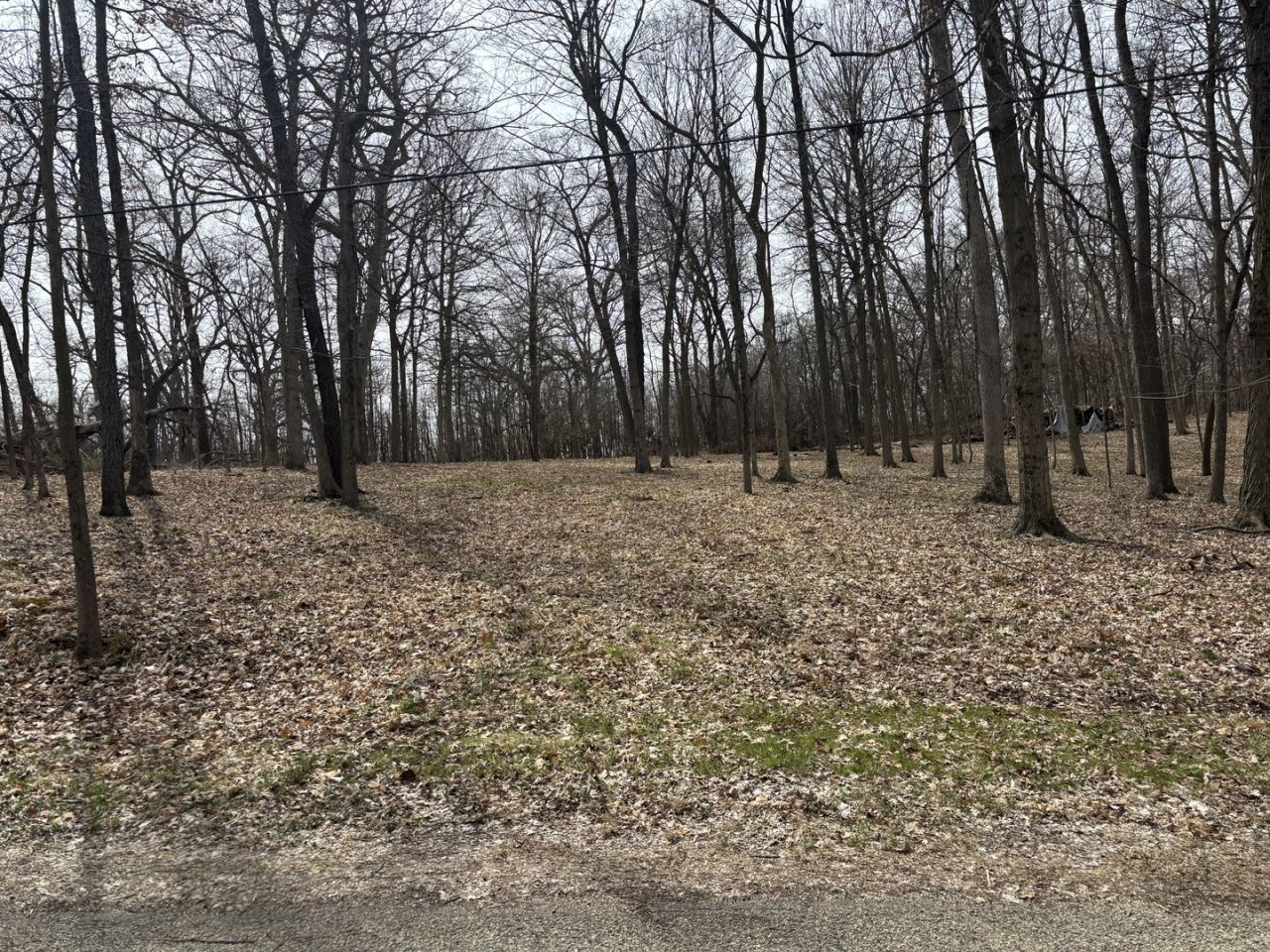 1729/1730/1731 Tanglewood Drive, Varna, IL 61375