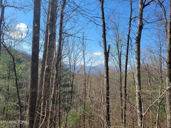 Lot 4 Alpine Drive, Sevierville, TN 37876