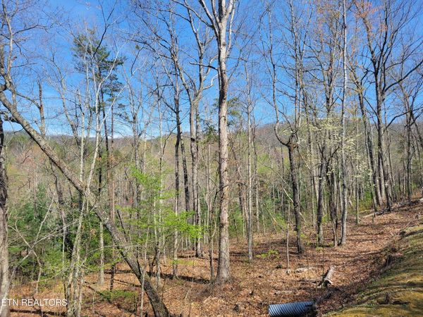 Lot 10 Black Oak Drive, Sevierville, TN 37876