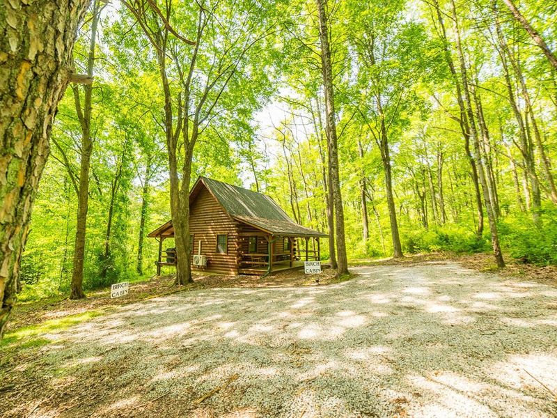 66220 State Route 56, New Plymouth, OH 45654 Photo 12