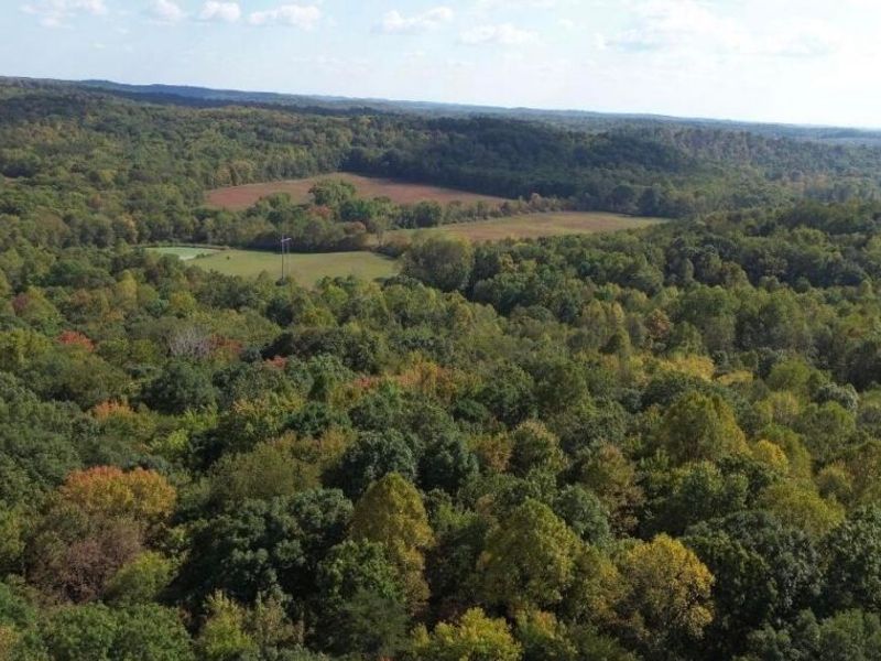 66220 State Route 56, New Plymouth, OH 45654 Photo 57