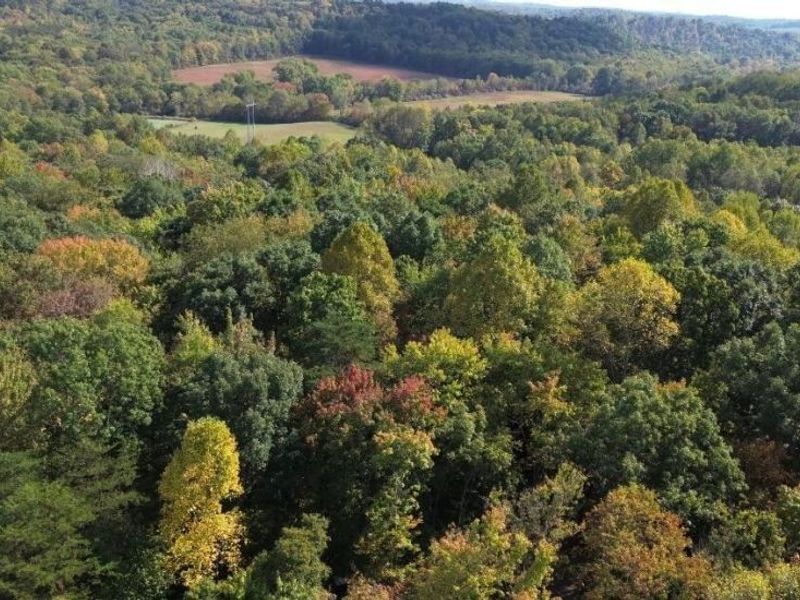 66220 State Route 56, New Plymouth, OH 45654 Photo 58