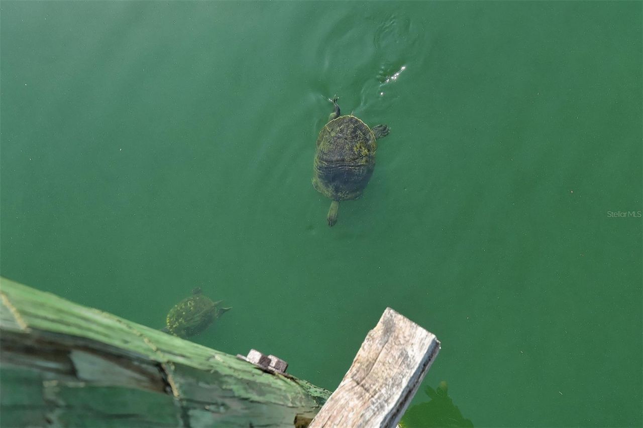 1431 57th Street W, Unit 1431, Bradenton, FL 34209 Photo