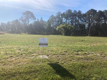 38518 WOODED MEADOW DRIVE, UMATILLA, FL 32784