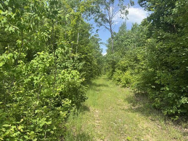 Off of Lakeside Trail, Barton City, MI 48705