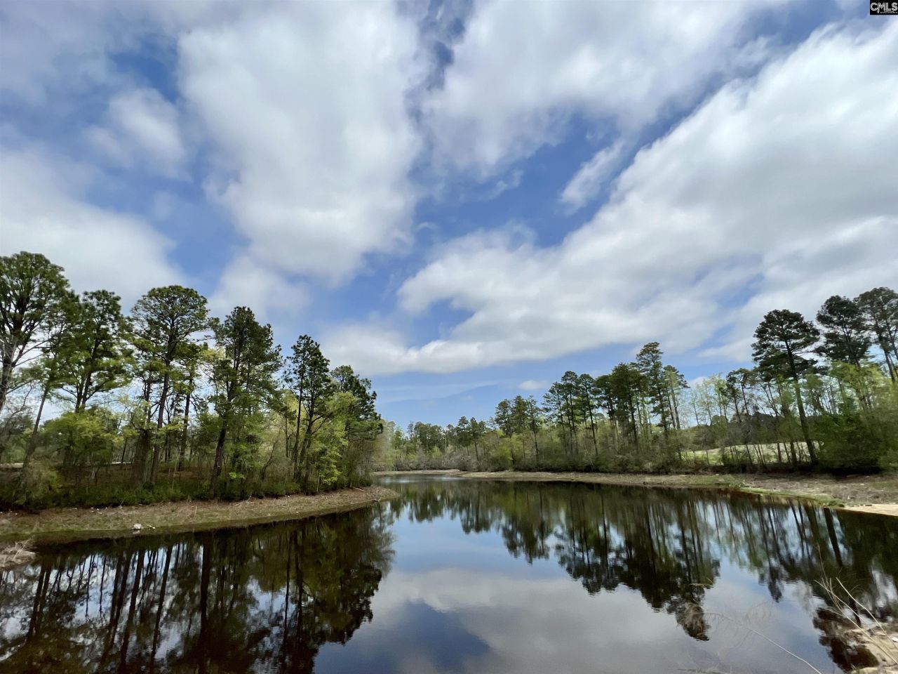 612 Thunder Gulch Avenue Photo 35