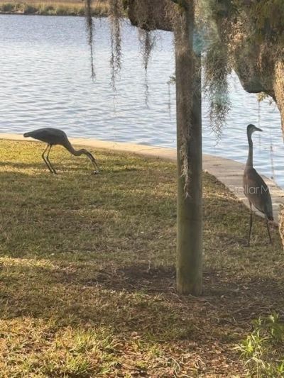 5275 S Stetson Point Drive, Homosassa, FL 34448 Photo