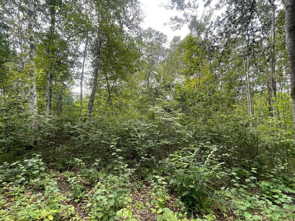 Lot 1 Patriot Ave, Pequot Lakes, MN 56472