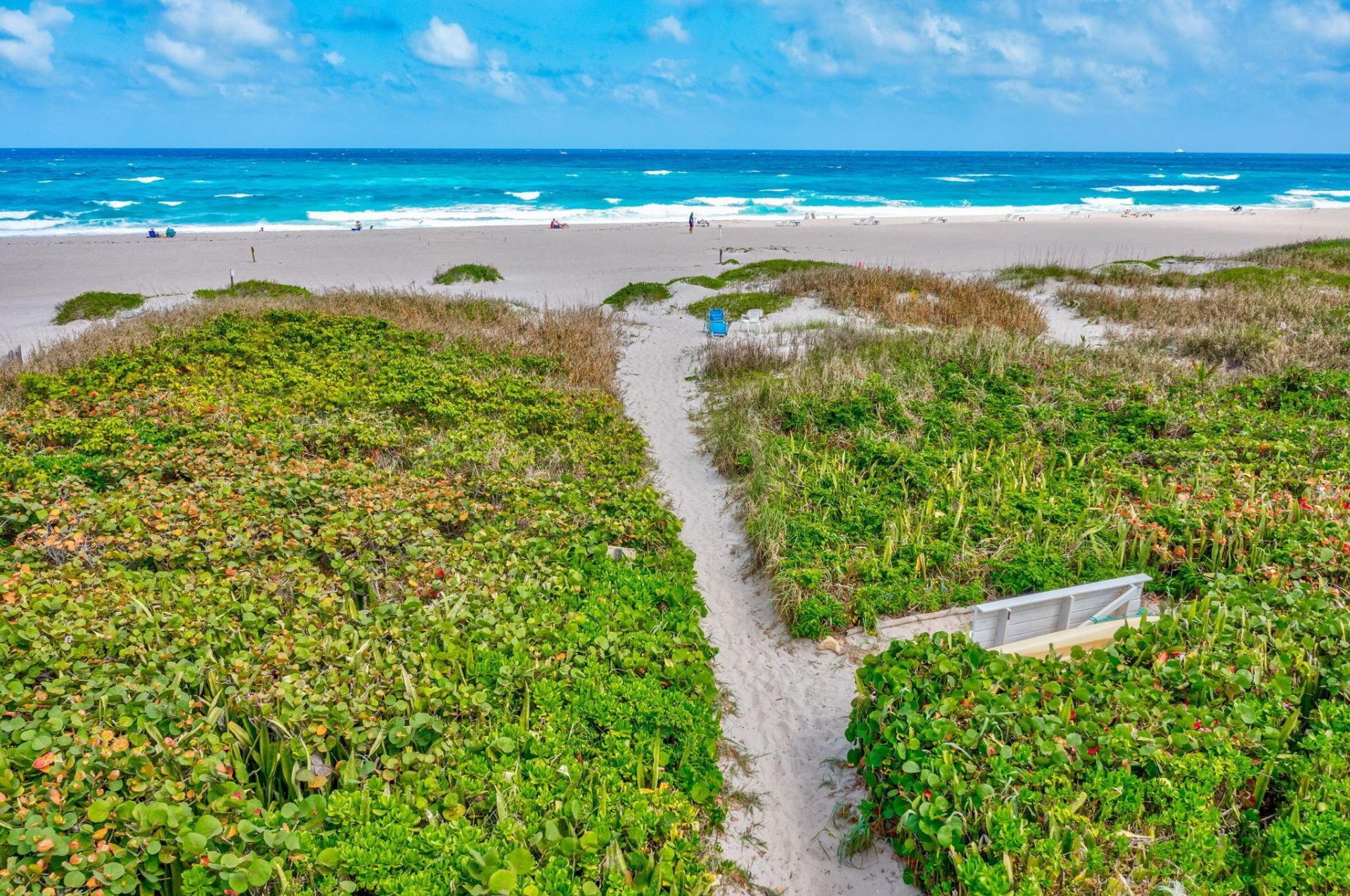 3600 N Ocean Drive, Unit 221, Singer Island, FL 33404 Photo