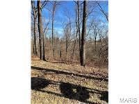 0 Hwy 79, Louisiana, MO 63353 Main Photo