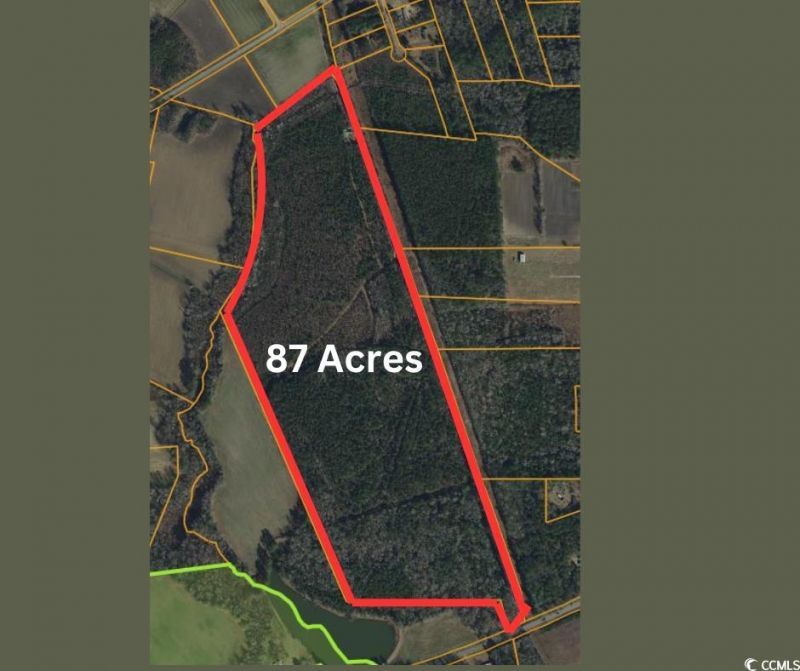 Tbd Green Sea Rd. Photo 10