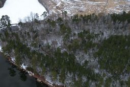 Tbd Green Sea Rd. photo 4