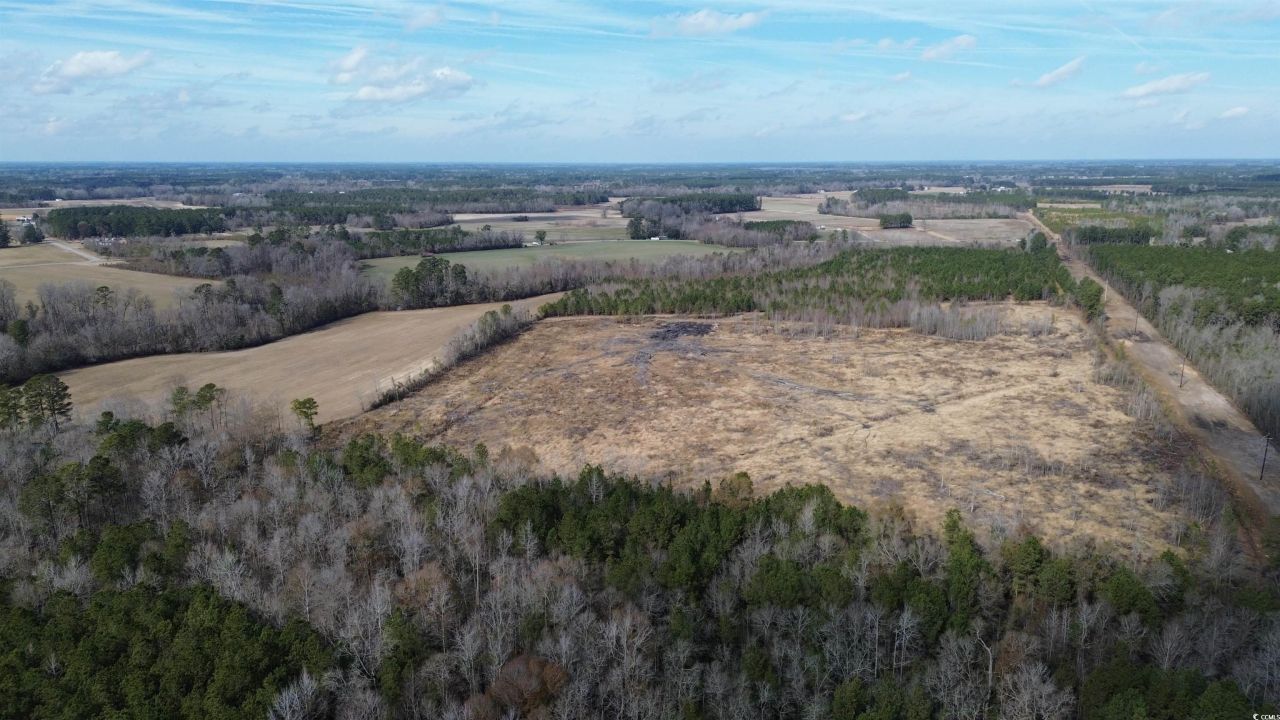 Tbd Green Sea Rd. Photo 6