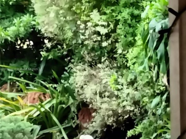 5411 SW 147th Ct, Miami, FL 33185