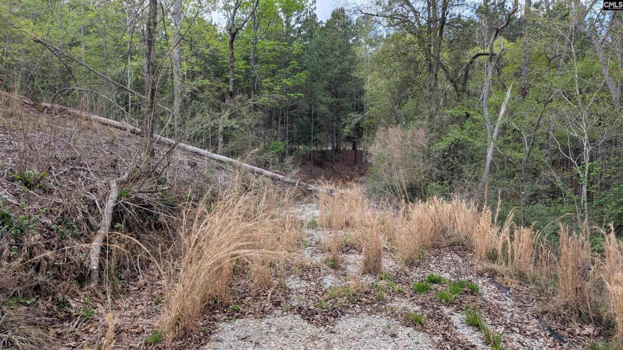 605 Living Waters Drive Photo 10