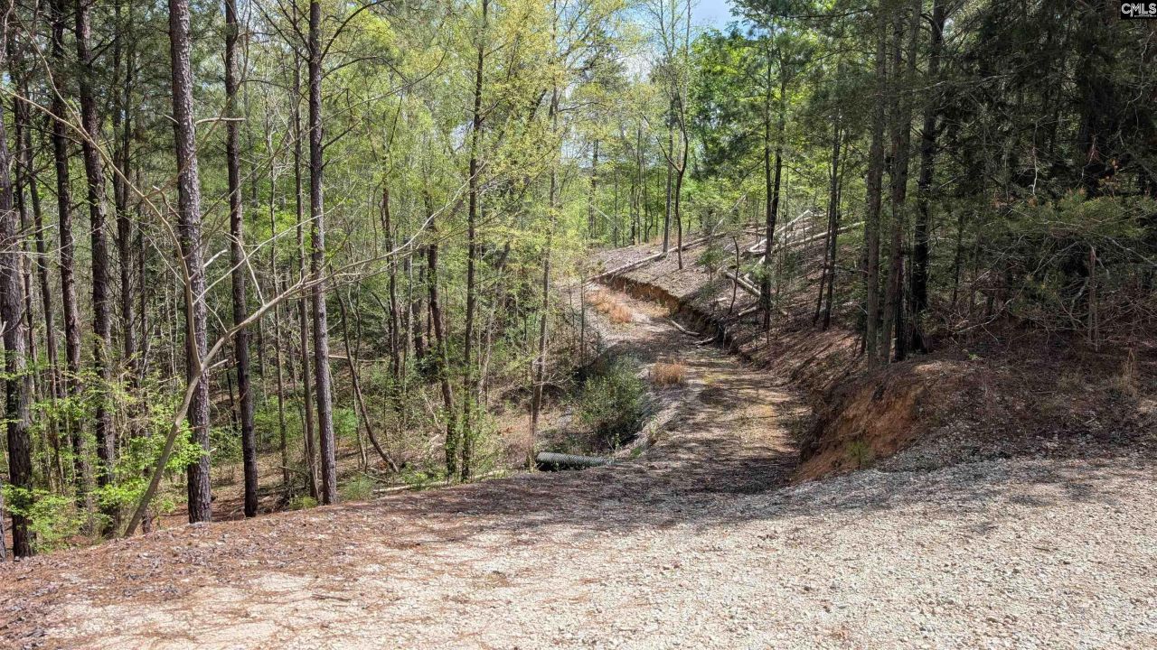 605 Living Waters Drive Photo 7