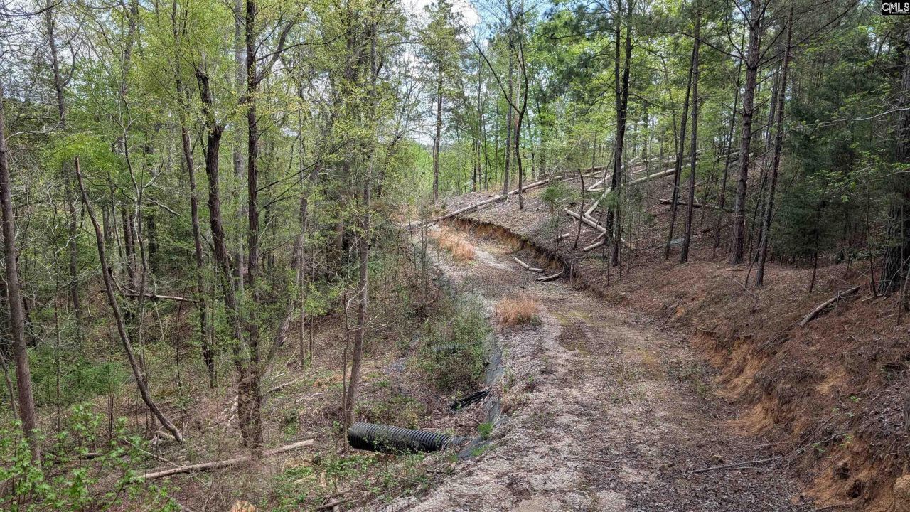 605 Living Waters Drive Photo 8