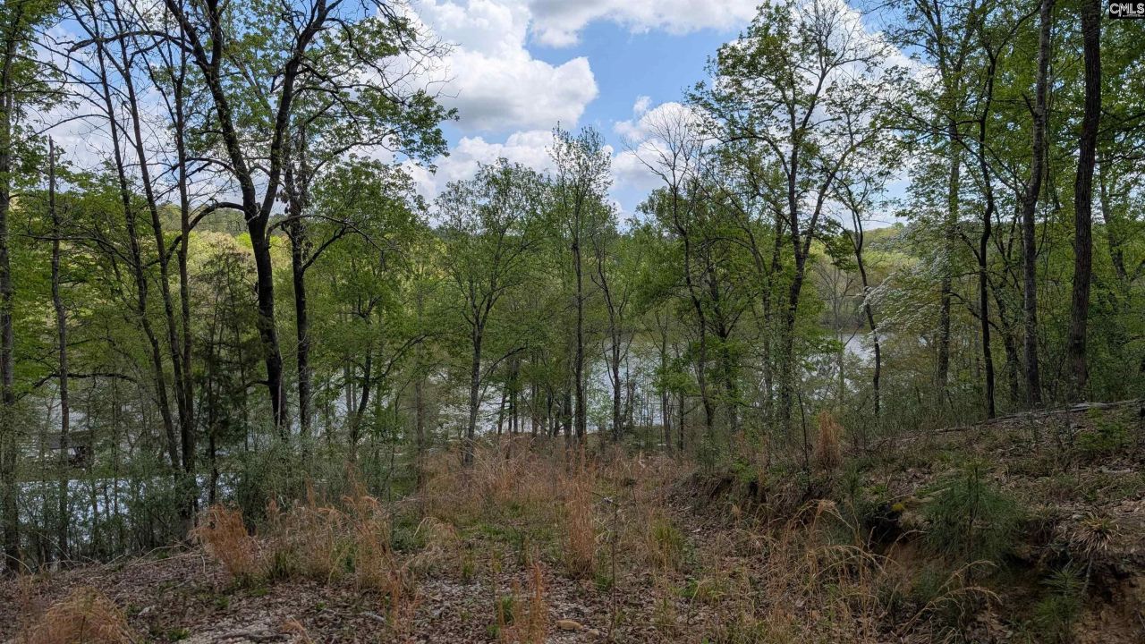 605 Living Waters Drive Photo 9