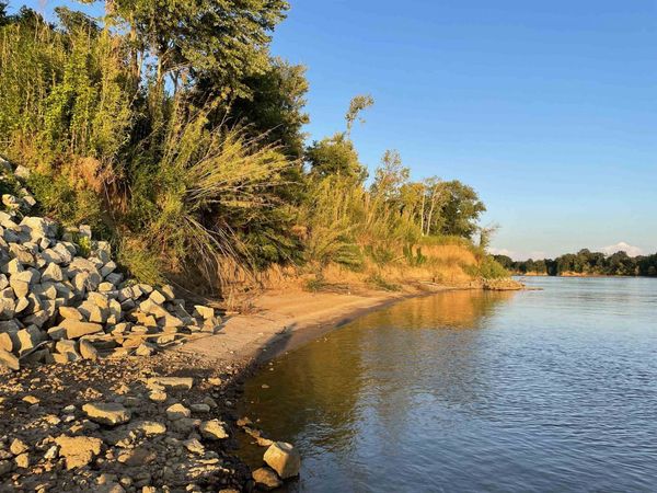 LOT 80 RIVER BREEZE RD, Savannah, TN 38372