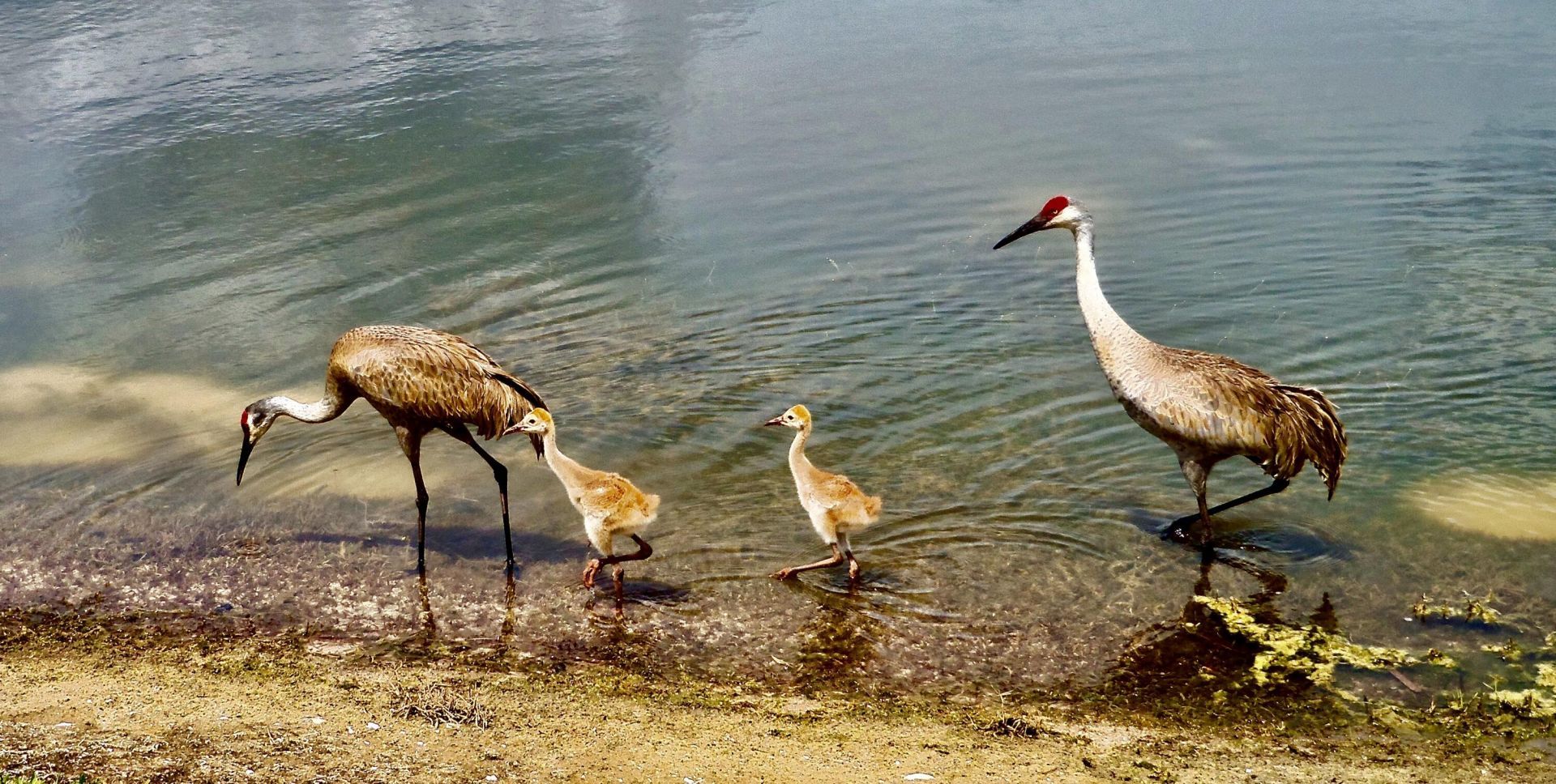 9851 Perfect Drive, Unit 151, Port Saint Lucie, FL 34986 Photo